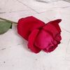 user435304235715