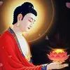 phuong.tran0239