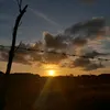sagiitur