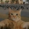 user73877098451697