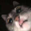 eljekk