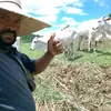isaceliasdiogo
