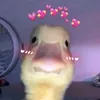 amelziol