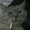 penake_turu