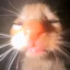 1mitskiversion1