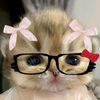 ann_ahmed106