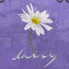 dthedaisy95