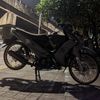 Vega Ireng