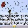 nino.gogichaishvi7