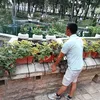 manbahadurgurung18