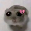 safaasafaa4954