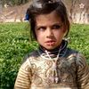 mahmad.hassan94
