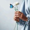 🦋سمراء🦋