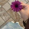 nuora_22