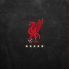 liverpoolfan926