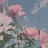lyndaaliane0