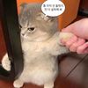 ilbljqimjrirj