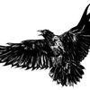 mohamedfreed29