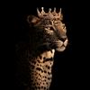 zeyneb_chaudhary