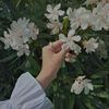 🦋مـجـردحـالـه🦋