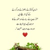 faheem_abbas08