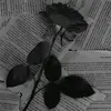 dark_tree91293