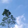 story_tiktokoff