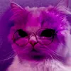 sweet_cookie2000