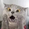 heejaaaaa