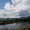 lethaovy4511