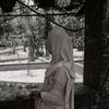 tamimiqbal8906