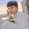 mehdihassan1352
