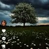 user95459454600861