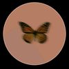 menna_nasser39