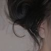 saa_raa12