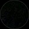 twx_ntk
