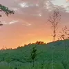 triple_truffles03