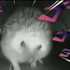griefbhhfg