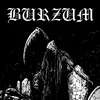 hayabusasamurai27