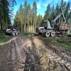 moritz_memier