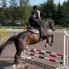 nelkabezzwafelkaa