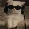 danikdanikovvv