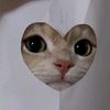 pelis.com.pe0
