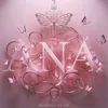 anamoraessilv