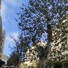 memo_memo3333