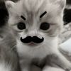 li_.quorice09