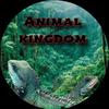 animal_kingdom50