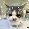 cutiiepiee1234