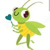 karatecricket