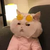 someonebesideyou